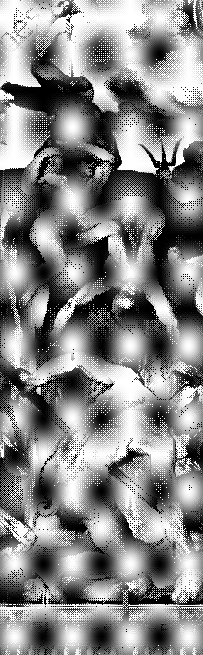 detail of a black and white bitmap rendering of a Renneisance fresco painting