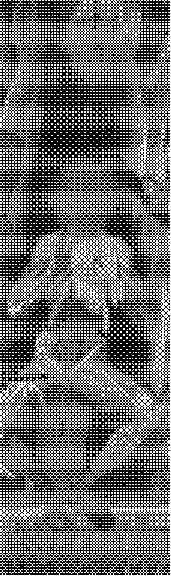 closeup of a black and white bitmap rendering of a Renneisance fresco painting, a person with their skin ripped off sits with their arms open to the viewer